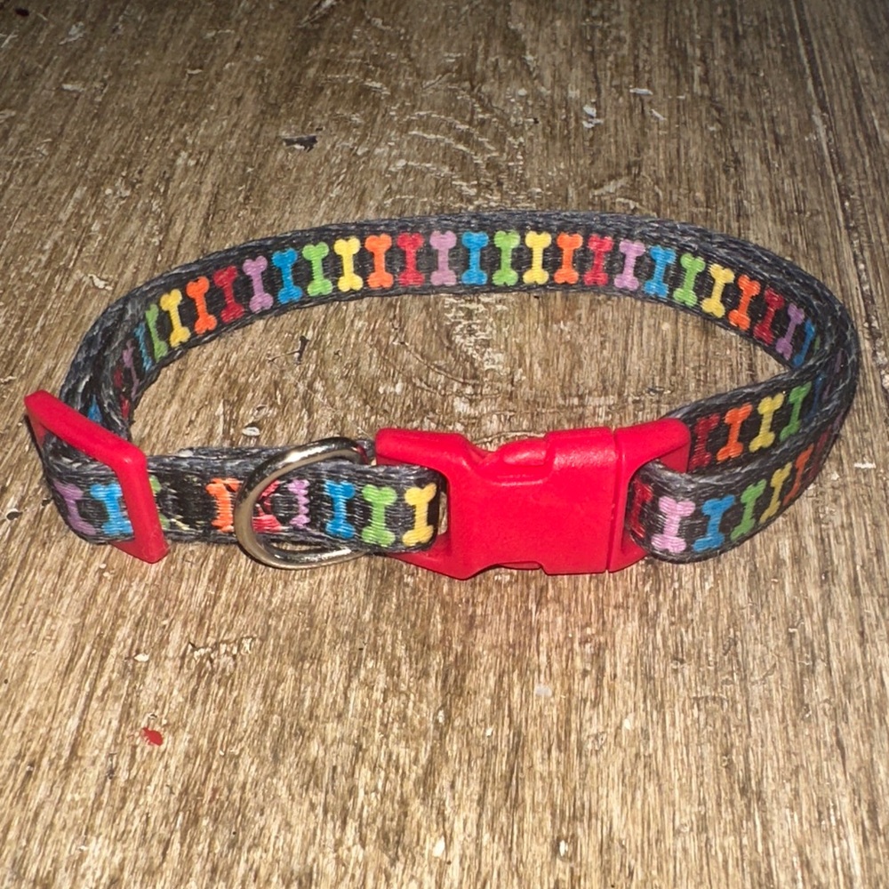 Vibrant Life Multicolored Dog Collar size small